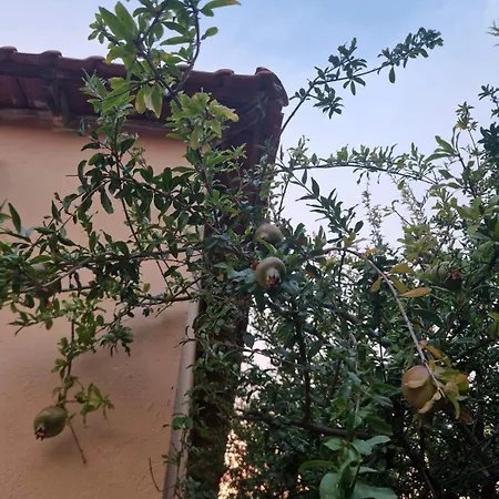 Nyaraló Entire Summer House With Patio And Garden *