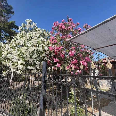 Entire Summer House With A Big Veranda And Garden Feriehus Nea Kallikrateia